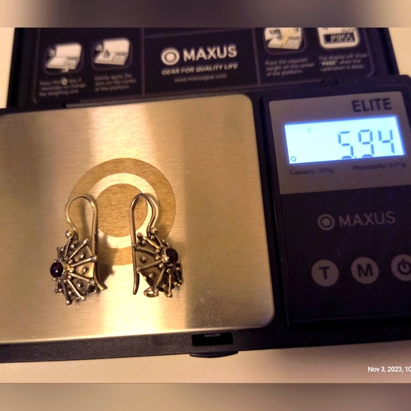 Garnet & Sterling Silver Embellished Disk Earrings - Picture 9 of 9